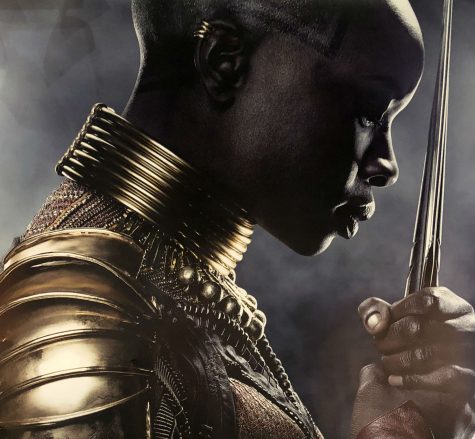 Black Panther poster - photographed by Lauren Eschenbrenner