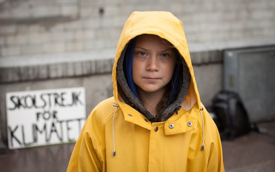  In August 2018, outside the Swedish parliament building, Greta Thunberg started a school strike for the climate. /Anders Hellberg via Wikimedia commons
